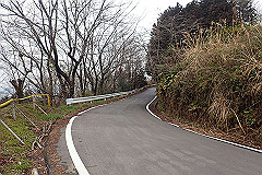 p3080557_thumb.jpg