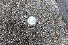 p3080558_thumb.jpg