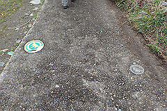 p3080559_thumb.jpg