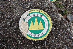 p3080560_thumb.jpg