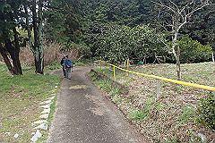 p3080561_thumb.jpg