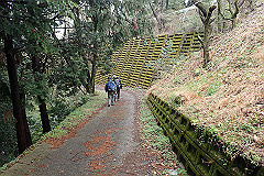 p3080562_thumb.jpg