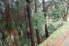p3080563_thumb.jpg