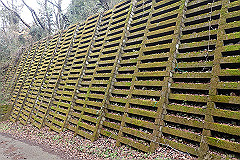 p3080564_thumb.jpg
