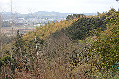 p3080566_thumb.jpg