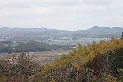 p3080567_thumb.jpg