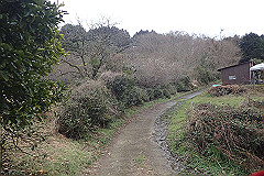 p3080572_thumb.jpg