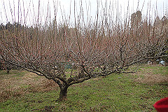 p3080573_thumb.jpg