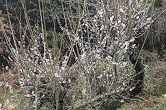 p3080575_thumb.jpg