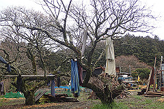 p3080577_thumb.jpg