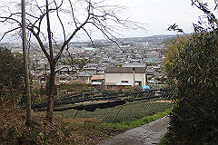 p3080578_thumb.jpg