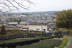 p3080579_thumb.jpg