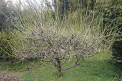 p3080582_thumb.jpg