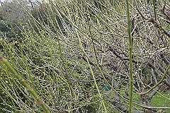 p3080584_thumb.jpg
