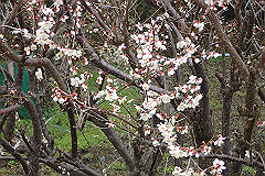 p3080587_thumb.jpg