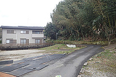 p3080590_thumb.jpg