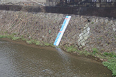 p3080599_thumb.jpg