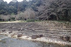 p3080605_thumb.jpg