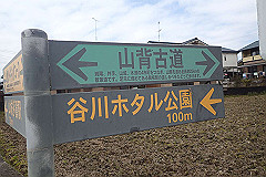 p3080613_thumb.jpg