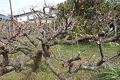p3080616_thumb.jpg