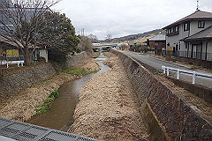 p3080625_thumb.jpg