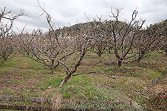 p3080630_thumb.jpg