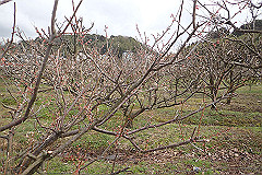 p3080631_thumb.jpg