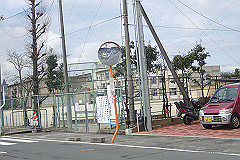 p3080632_thumb.jpg