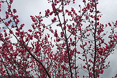 p3080635_thumb.jpg