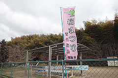 p3080643_thumb.jpg