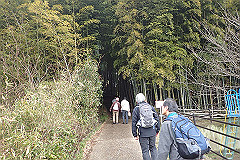 p3080647_thumb.jpg