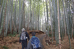 p3080648_thumb.jpg