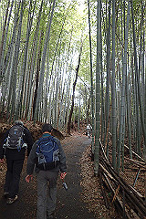 p3080649_thumb.jpg
