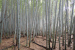 p3080651_thumb.jpg
