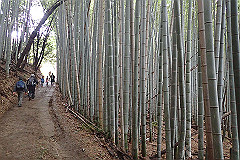 p3080652_thumb.jpg
