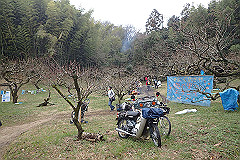p3080653_thumb.jpg