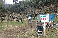 p3080654_thumb.jpg