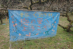 p3080655_thumb.jpg