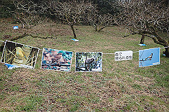 p3080656_thumb.jpg