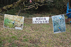 p3080658_thumb.jpg