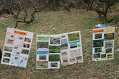 p3080659_thumb.jpg