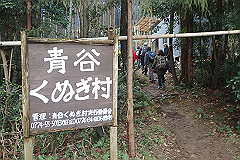 p3080660_thumb.jpg
