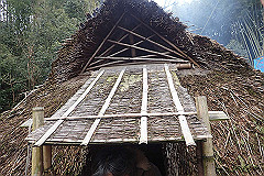 p3080665_thumb.jpg