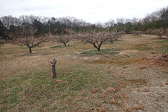 p3080667_thumb.jpg