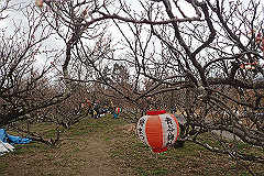 p3080669_thumb.jpg