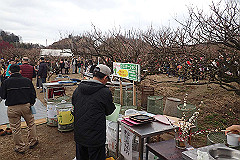 p3080673_thumb.jpg