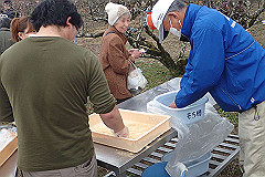 p3080675_thumb.jpg