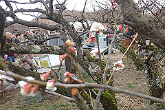 p3080678_thumb.jpg