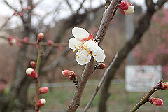 p3080681_thumb.jpg
