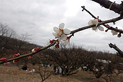 p3080682_thumb.jpg